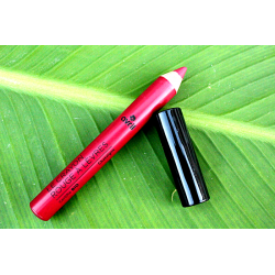 Crayon lèvres Châtaigne BIO