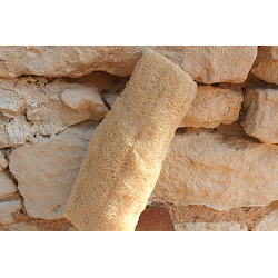 Loofah entier
