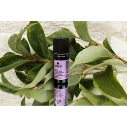 Huile essentielle lavande...