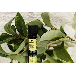 HUILE ESSENTIELLE CITRON BIO