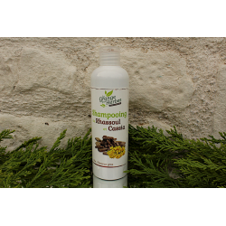 SHAMPOOING CHEVEUX GRAS