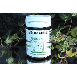 ARTICULATIONS CHIENS CHATS