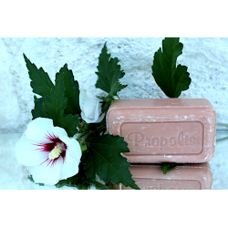 Savon artisanal doux propolis